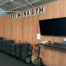 The-Mona-Gym