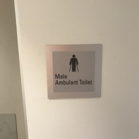 Male-Ambulant-Toilet